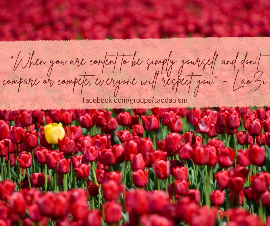 When you are content to be simply yourself and don’t compare or compete, everyone will r